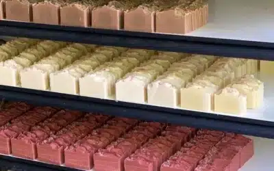 Savon Surgras Saponifié à Froid : Le Guide Complet pour Choisir, Formuler et Comprendre